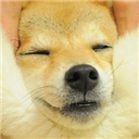 VSCodeMarketplace profile picture for @Alley